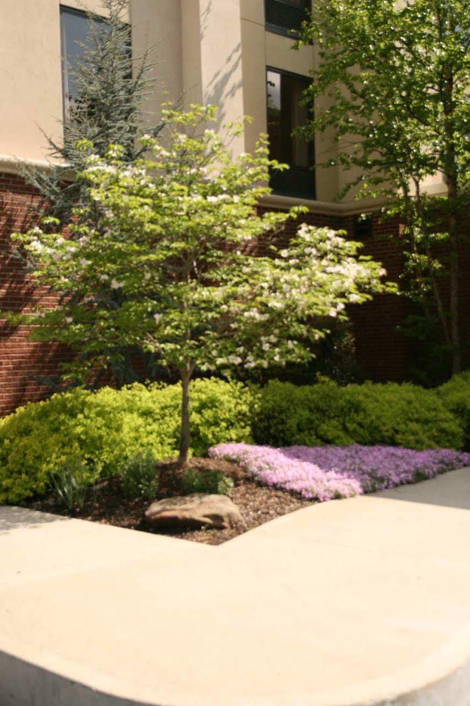 Hampton Inn And Suites Hazard Exterior photo